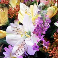 david salter wholesale flowers